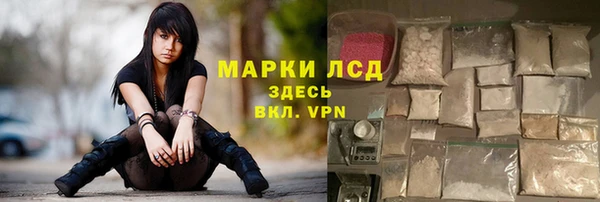 прущие грибы Алексеевка