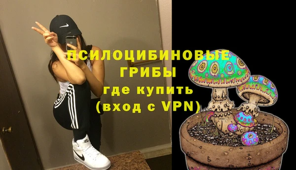 герыч Алексин
