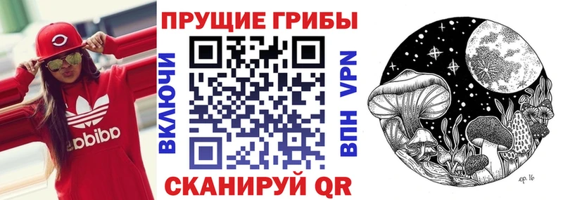 Галлюциногенные грибы Magic Shrooms  Купить закладки  Сысерть 